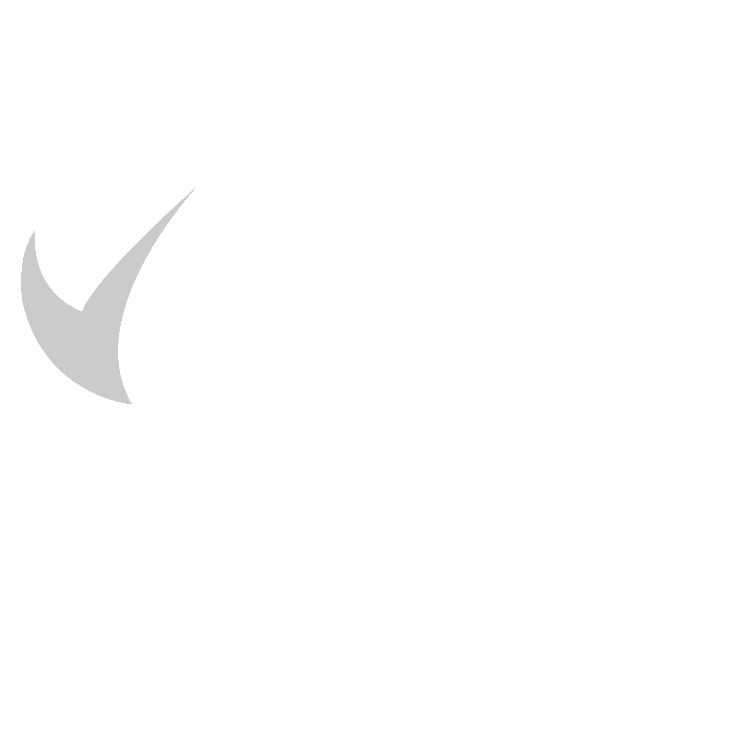 sap bianco copia